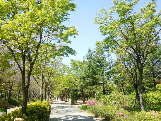 Công viên Seoul Forest