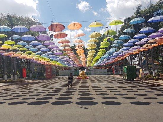 Công viên Văn hóa Đầm Sen