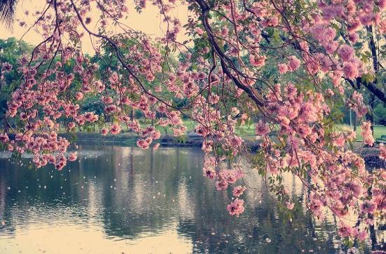 Công viên Vajirabenjatas