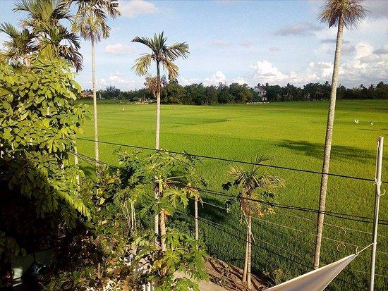 The Little Circus Hoi An