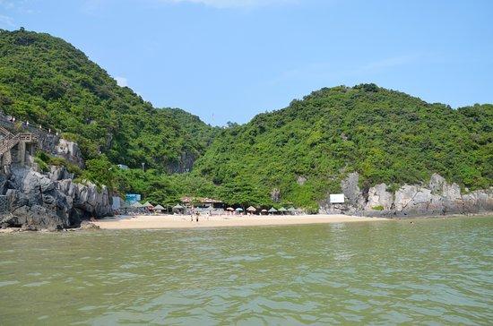 Cat Co 1 Beach