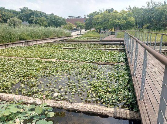 Công viên Seonyudo