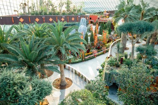 Công viên Gardens By The Bay