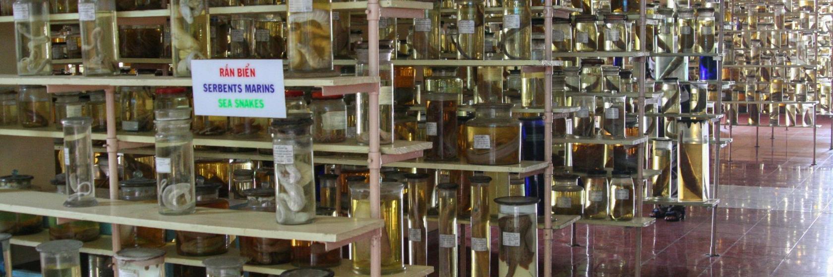 Viện Hải Dương Học