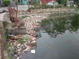 Hồ Truyền Thống