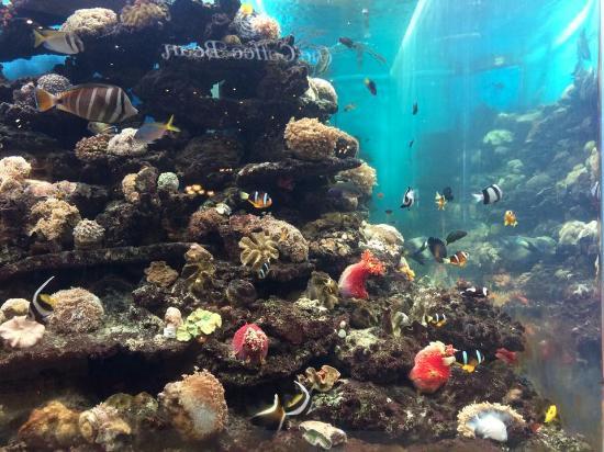 Trung tâm thương mại Crescent Mall